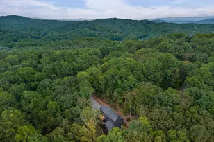 63 Laurel Trace, Blue Ridge, GA 30513 - Photo 110