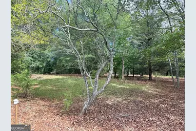 1050 Scott Branch Rd, Williamson, GA 30292 - Photo 48