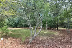 1050 Scott Branch Rd, Williamson, GA 30292 - Photo 48