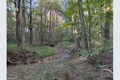 0 Adolphus Callaway Road, Rayle, GA 30660 - Photo 2