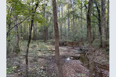 0 Adolphus Callaway Road, Rayle, GA 30660 - Photo 4