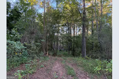 0 Adolphus Callaway Road, Rayle, GA 30660 - Photo 18