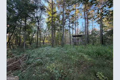 0 Adolphus Callaway Road, Rayle, GA 30660 - Photo 20