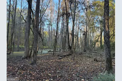 0 Adolphus Callaway Road, Rayle, GA 30660 - Photo 22