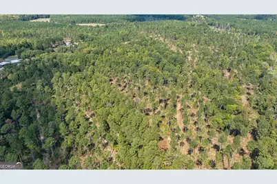0 Adolphus Callaway Road, Rayle, GA 30660 - Photo 28