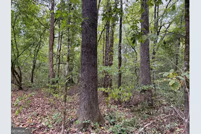 0 Adolphus Callaway Road, Rayle, GA 30660 - Photo 14