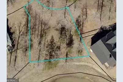 1040 Mashie Drive, Greensboro, GA 30642 - Photo 24