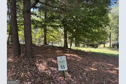 1040 Mashie Drive, Greensboro, GA 30642 - Photo 4