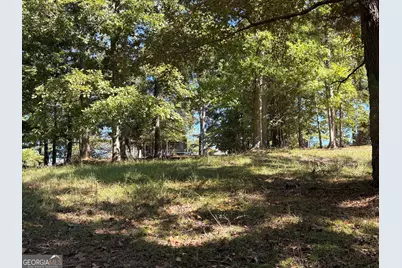 1040 Mashie Drive, Greensboro, GA 30642 - Photo 6