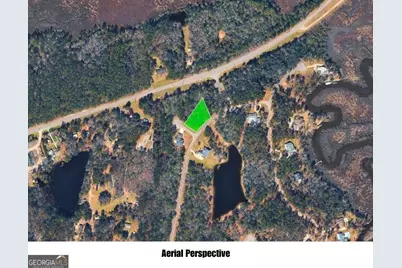 0 Timmons Drive, Waverly, GA 31565 - Photo 4