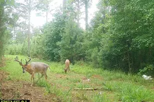 0 Seven Islands Rd, Madison, GA 30650 - Photo 1