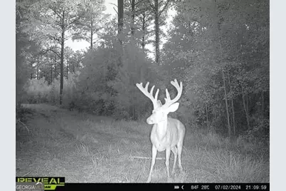 0 Seven Islands Road, Madison, GA 30650 - Photo 64