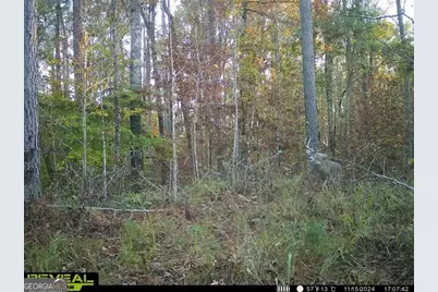2 Seven Islands Road, Madison, GA 30650 - Photo 16