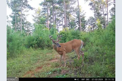 2 Seven Islands Road, Madison, GA 30650 - Photo 28