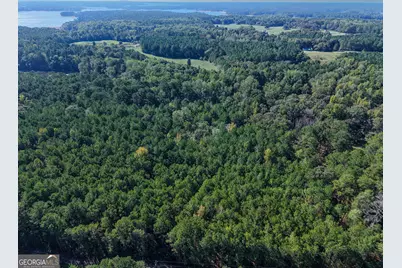 00 Kate Freeman Road, Lagrange, GA 30240 - Photo 6