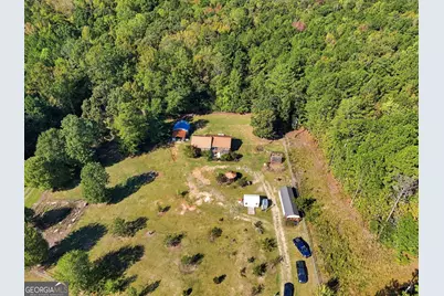525 Dean Road, Greenville, GA 30222 - Photo 46