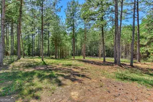 1192 Sunset Cove, Tignall, GA 30668 - Photo 46