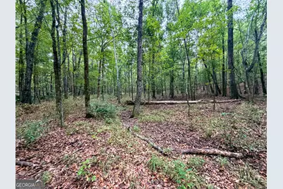 1 South Indian Trail Road, Sandersville, GA 31082 - Photo 14