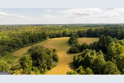 958 Suttles Road, Mount Airy, GA 30563 - Photo 64