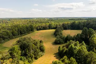 958 Suttles Rd, Mount Airy, GA 30563 - Photo 64
