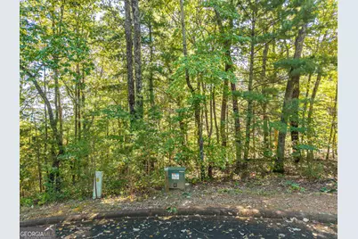 Lot 22,23,0 Abbott Mill Road, Ellijay, GA 30540 - Photo 6