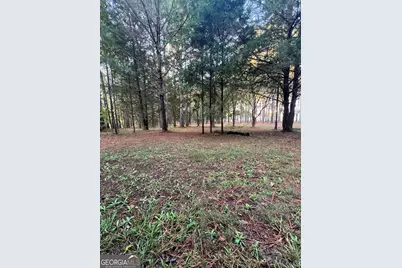 Tract 3 Seven Islands Rd., Madison, GA 30650 - Photo 6