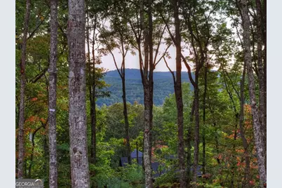 357 Spring Ridge Trail, Morganton, GA 30560 - Photo 4