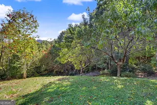 49 Vine Hill Ln, Clayton, GA 30525 - Photo 64