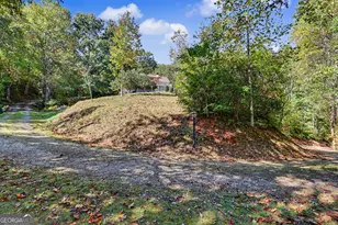 49 Vine Hill Ln, Clayton, GA 30525 - Photo 42
