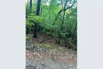 Lots 3&amp;4 Amicalola Woods Road, Dawsonville, GA 30534 - Photo 1