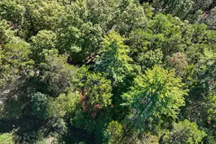 25 Foster Ln, Morganton, GA 30560 - Photo 24