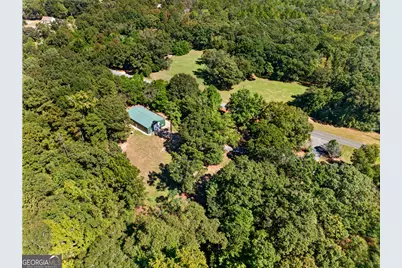 1337 Johnny Miller Road, Buena Vista, GA 31803 - Photo 8