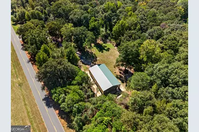 1337 Johnny Miller Road, Buena Vista, GA 31803 - Photo 6