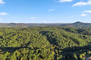 170 Alte Bruecke Strasse, Helen, GA 30545 - Photo 36