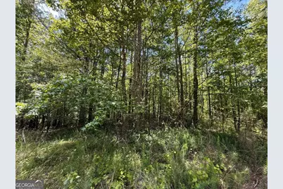 467 N Raburn Road, Bremen, GA 30110 - Photo 4