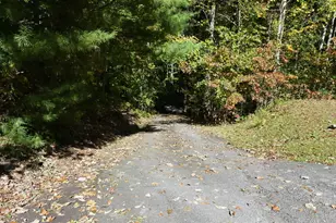 130 Navigator Ln, Tiger, GA 30576 - Photo 50