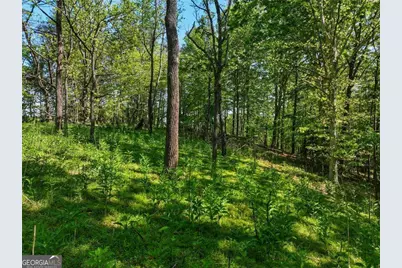 Lot 1 Summit Drive, Dahlonega, GA 30533 - Photo 6