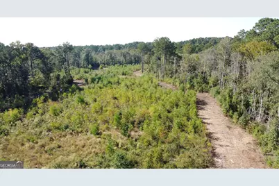 0 Highway 46, Statesboro, GA 30458 - Photo 6