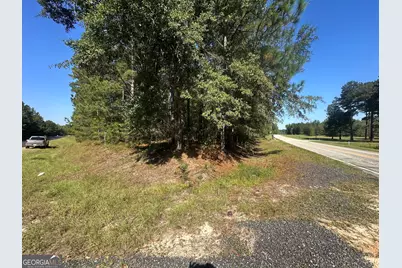 0 Bascom Road, Sylvania, GA 30467 - Photo 4