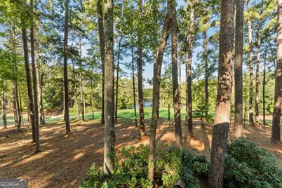 1181 Shoulderbone Circle, Greensboro, GA 30642 - Photo 66