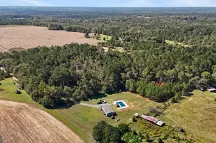 916 E Flournoy Rd, Hawkinsville, GA 31036 - Photo 58