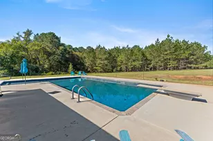 916 E Flournoy Rd, Hawkinsville, GA 31036 - Photo 46