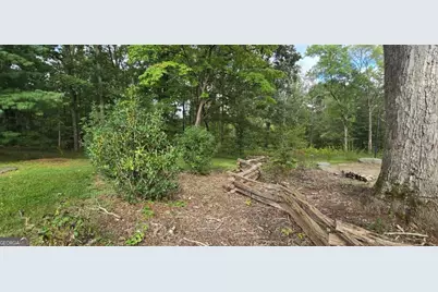 812 Bessie Lane, Ball Ground, GA 30107 - Photo 38