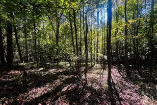 Lot 14 Lakeview Ct, Baldwin, GA 30511 - Photo 1