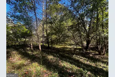 Lot 14 Lakeview Court, Baldwin, GA 30511 - Photo 10