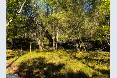 Lot 14 Lakeview Court, Baldwin, GA 30511 - Photo 8
