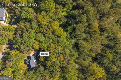 399 Grindstone Creek Drive, Clarkesville, GA 30523 - Photo 66