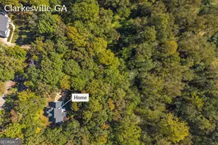 399 Grindstone Creek Dr, Clarkesville, GA 30523 - Photo 66