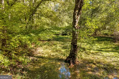 399 Grindstone Creek Drive, Clarkesville, GA 30523 - Photo 64