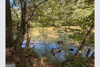 2466 Flatbottom Rd, Ball Ground, GA 30107 - Photo 28